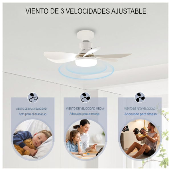 Luz Ventilador de Techo - Imagen 2