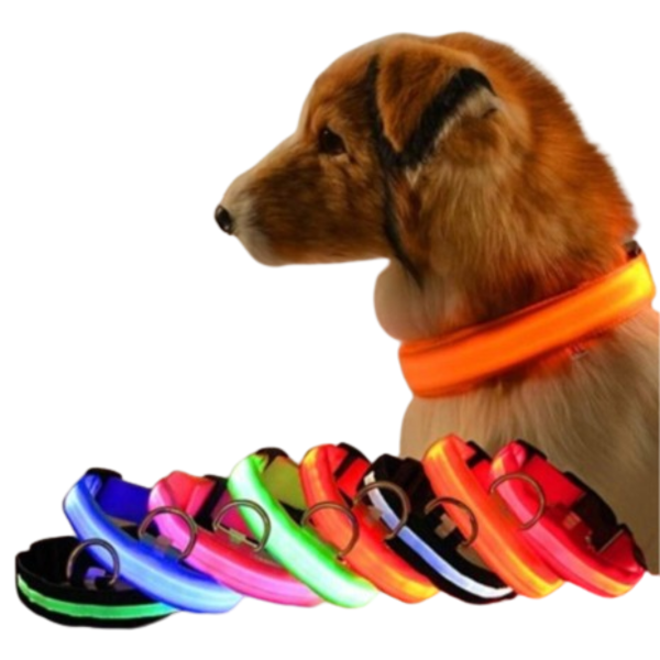 Collar Luminoso LED