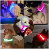 Collar Luminoso LED - Imagen 3