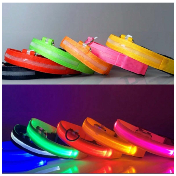 Collar Luminoso LED - Imagen 2