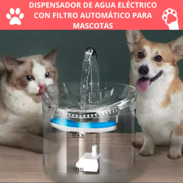 Bebedero Mascotas